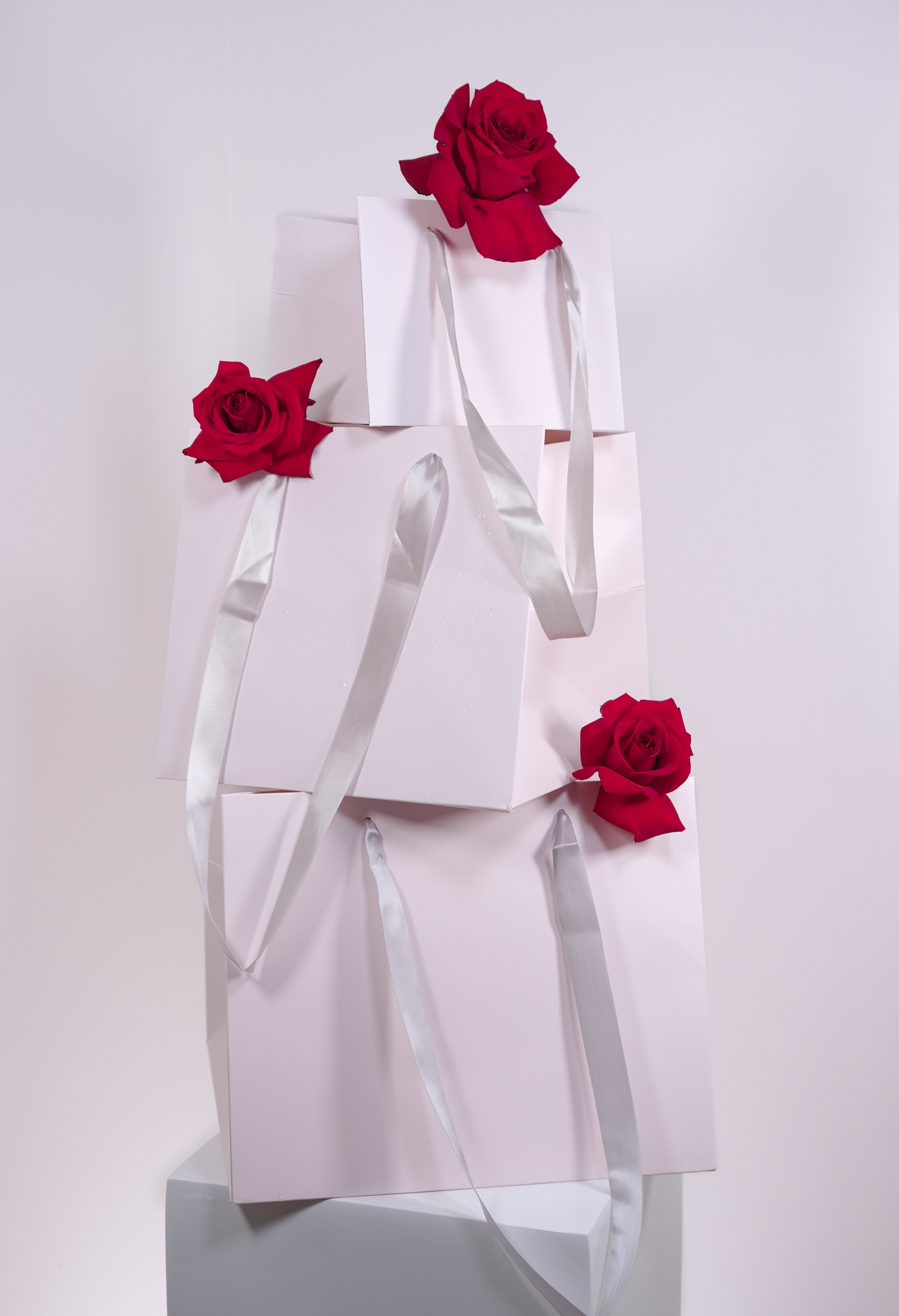 Gift Bag
